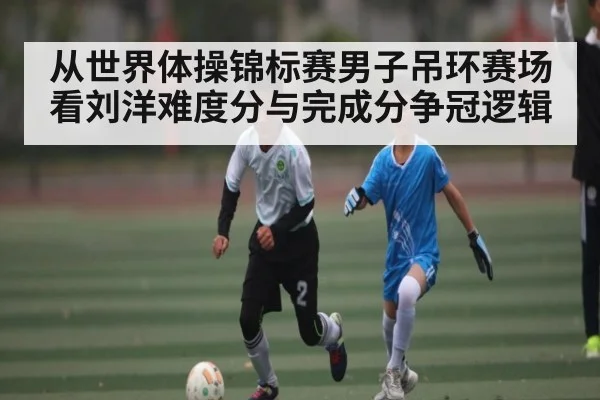 从世界体操锦标赛男子吊环赛场看刘洋难度分与完成分争冠逻辑 | C7C7